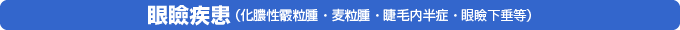 眼瞼疾患（化膿性霰粒腫・麦粒腫・睫毛内反症・眼瞼下垂等）