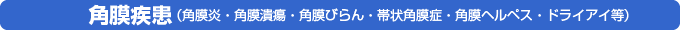 角膜疾患（角膜炎・角膜潰瘍・角膜びらん・帯状角膜症・角膜ヘルペス・ドライアイ等）