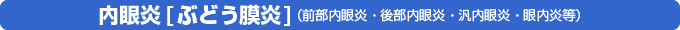 内眼炎[ぶどう膜炎]（前部内眼炎・後部内眼炎・汎内眼炎・眼内炎等）