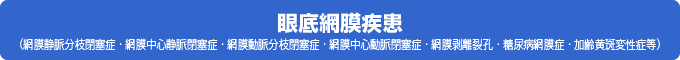 眼底網膜疾患（網膜静脈分枝閉塞症・網膜中心静脈閉塞症・網膜動脈分枝閉塞症・網膜中心動脈閉塞症・網膜剥離裂孔・糖尿病網膜症・加齢黄斑変性症　等）